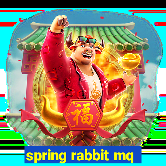 spring rabbit mq